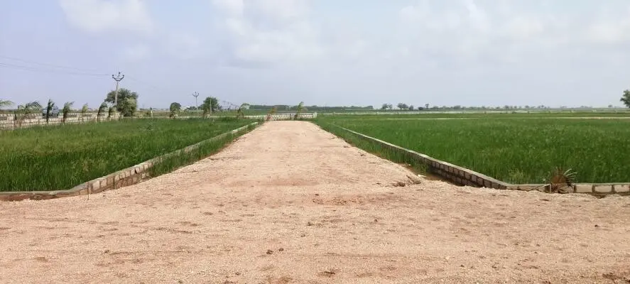 dholera smart city real images